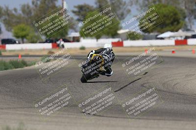 media/Sep-07-2025-Pacific Track Time (Sun) [[a6322260b9]]/A and B Group/Wheelie Bump A and B/